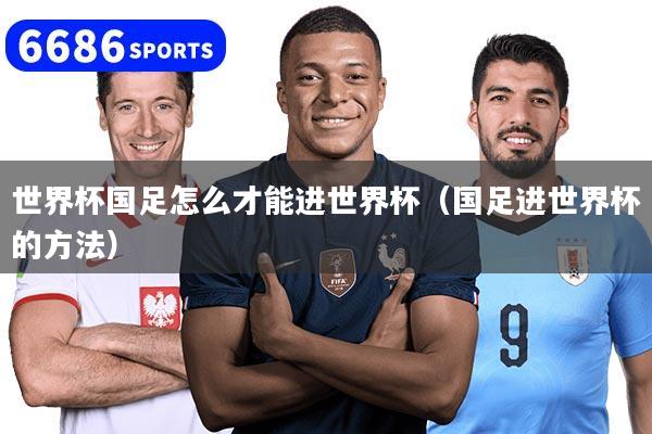 世界杯国足怎么才能进世界杯（国足进世界杯的方法）