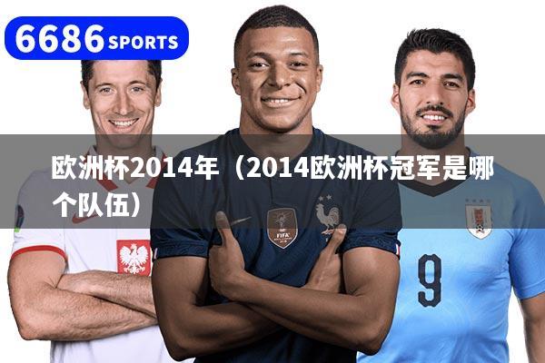 欧洲杯2014年（2014欧洲杯冠军是哪个队伍）