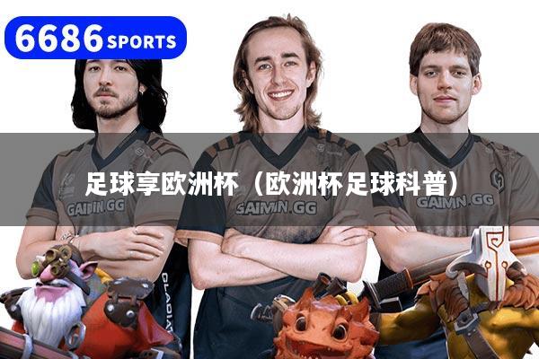 足球享欧洲杯(欧洲杯足球科普)